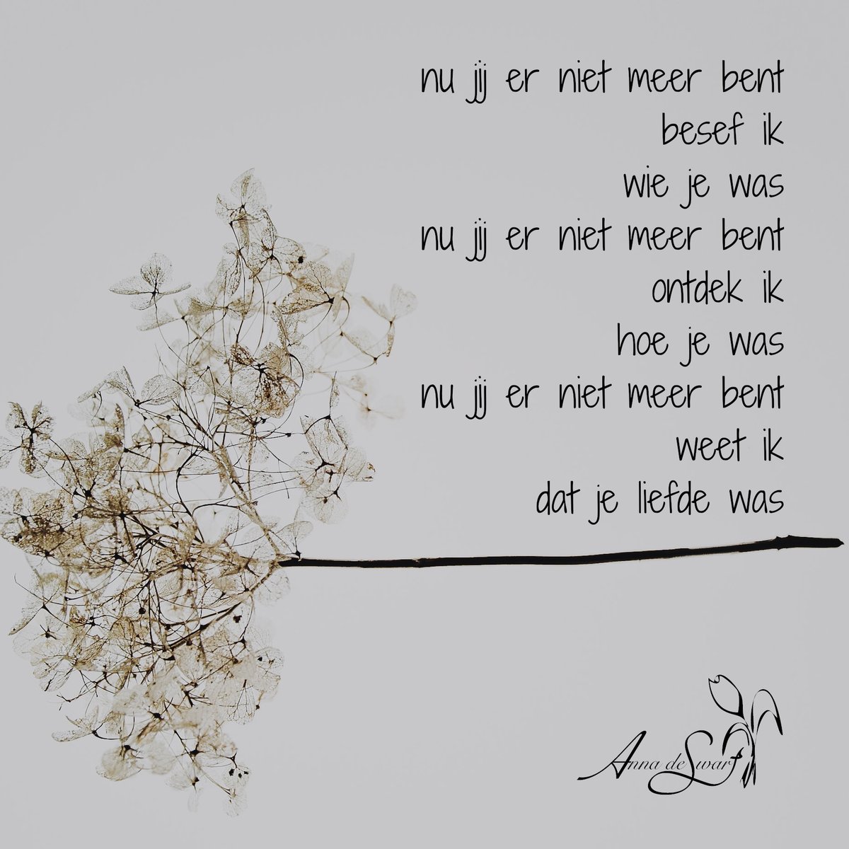 VersjesVanAnna's tweet photo. Op de protestantse kalender is het vandaag #eeuwigheidszondag en worden overleden dierbaren herdacht.
#liefde #rouw #verdriet #gemis
#versjesvanannadeswart
https://t.co/TcqMk77tBS https://t.co/yTZZl0SBn6