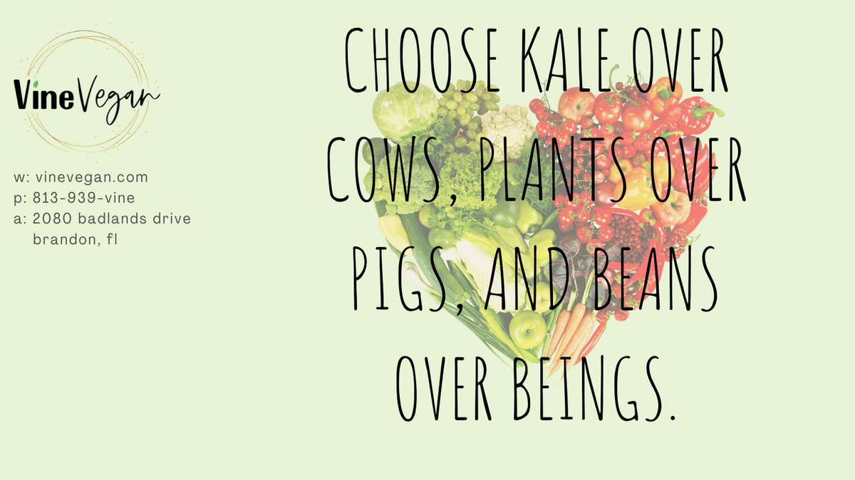 You don’t need to be 100% vegan to make an impact #vinevegan #tampavegans #vegan #plantbased #veganfood #crueltyfree #veganlife #govegan #veganrecipes  #veganism  #whatveganseat