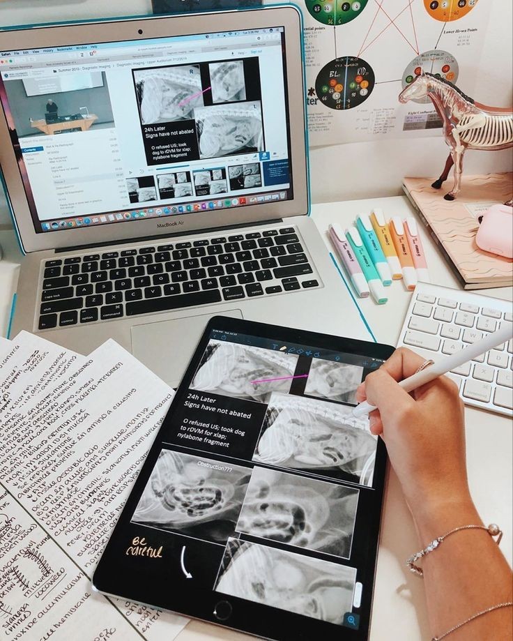 studywari's tweet image. ⌕ #studytwt • #collegetwt • #langtwt • #studytwtbr

♡ nick, ela/dela, 1998.
♡ foco no ENEM.
♡ objetivo: medicina veterinária.
♡ enfp, câncer.
♡ música, livros, filmes e kdramas.

↻/♡ = moots