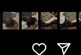DanMizuno95's tweet photo. YOONGI TIENE UN GATO????

@BTS_twt #YOONGI #BTS https://t.co/hKUlhN9ZMq