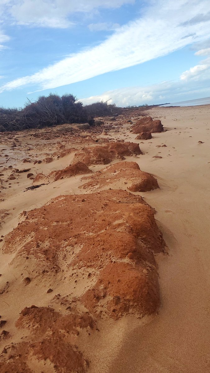 Malmo_Maritimes's tweet photo. Quick little visit to the beach, for some off leash sniffs for Malmö.
But the visual of the impact of Fiona still creates so much anxiety.
This winter will greatly shift the North Shore even more.
#PostFiona https://t.co/1o4n8oVJ3O