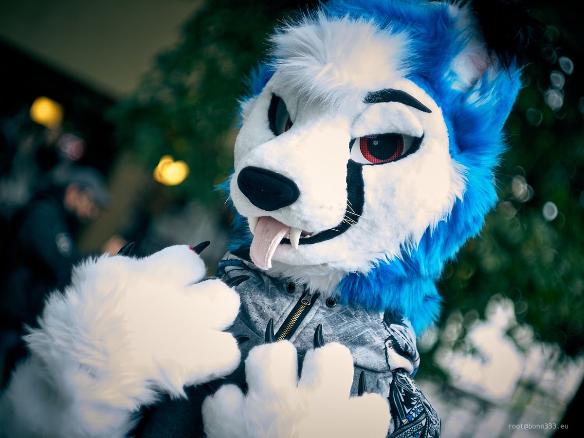 🌟Pretty me~🌟
❤️Happy moewday everyone!💙
#furry #fursuit #FursuitFriday #fursuiteveryday #meow #kitty #furryfandom