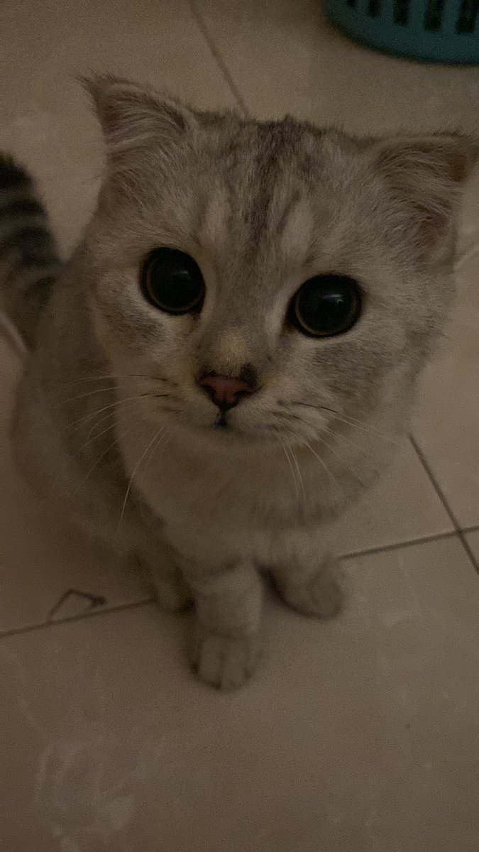 อยากอมหัวฮารุตาแป๋ว🫵🏿