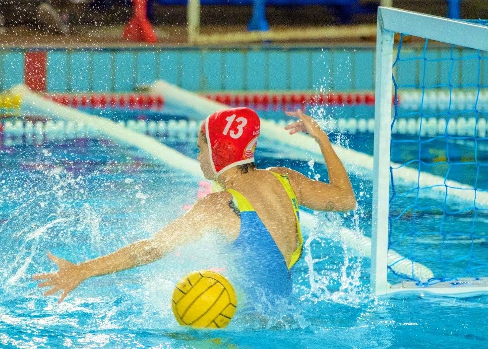 CD Natación Boadilla tweet media