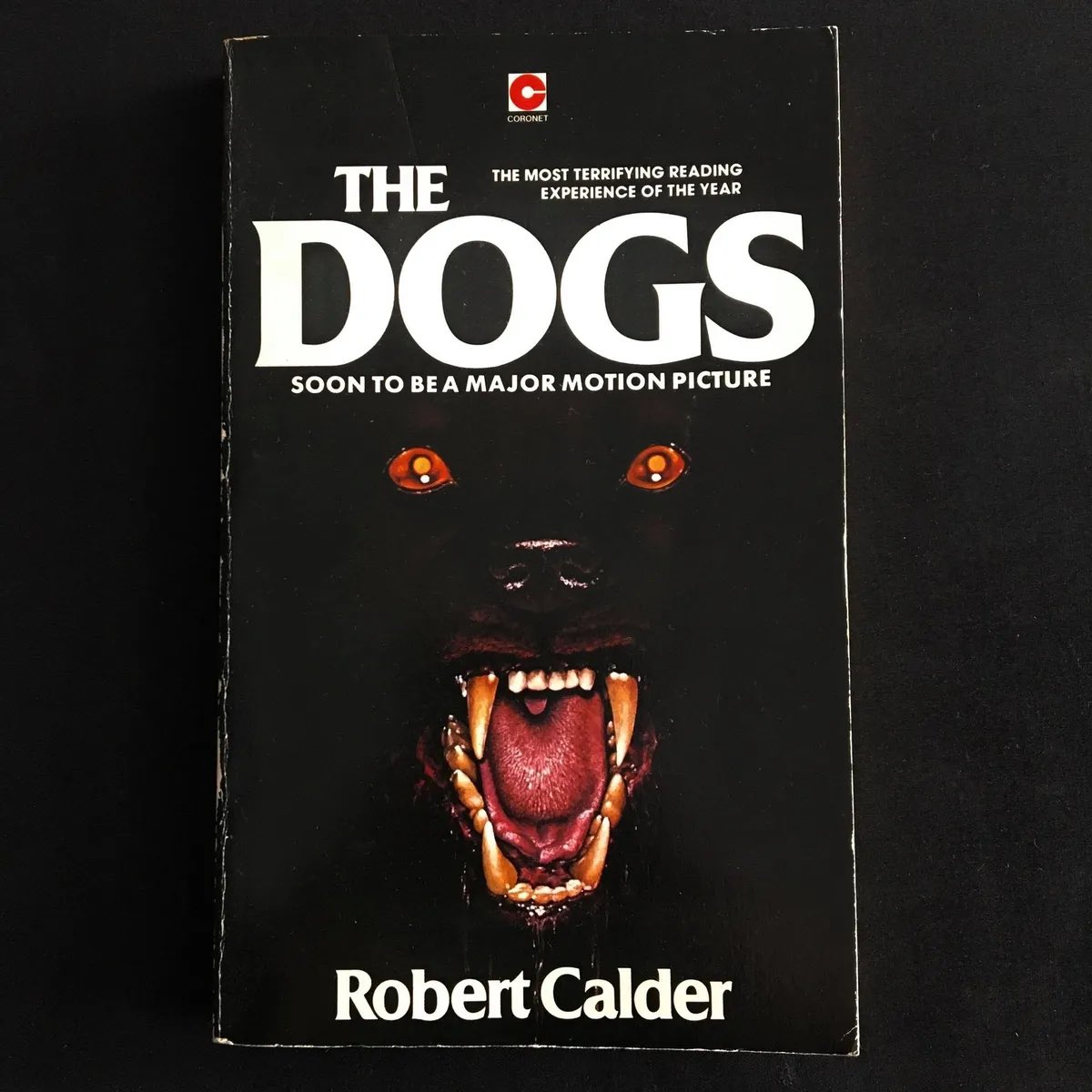 Alldatalostbook's tweet photo. When animals attack movie edition 🐶 

https://t.co/NeuKlR0XgS

https://t.co/yCJP8riQfD

#alldatalostbooks #horrorbookseller #paperbacksfromhell #bibliophile #horroraddict  #horrorbookstagram #horrorjunkie #vintagehorrorbooks #vintagepaperbacks #paperbackhorror #peterhaining https://t.co/IfgorwwX2W