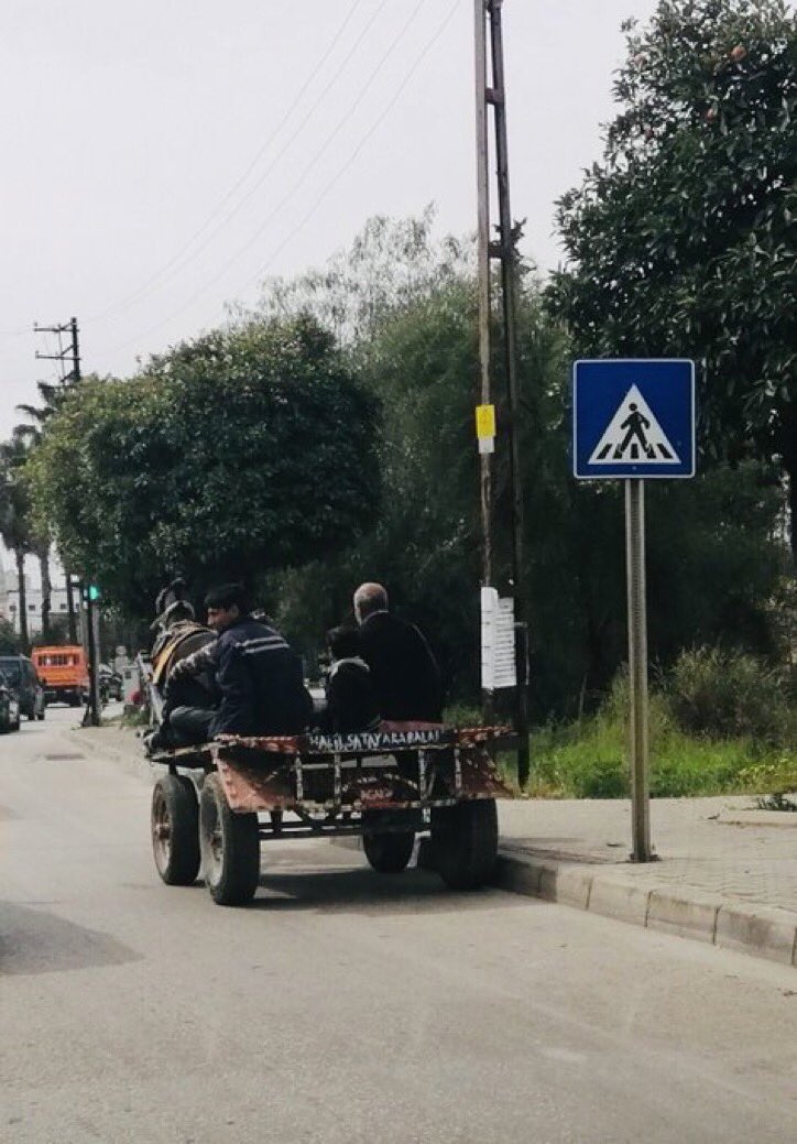 ecrinokt's tweet photo. Artık şu at arabaları yasaklansın. Yazık hayvanlara. Adalarda bitti diye sevindik başkanım ama hala istanbul da görüyoruz. Lütfen yasak getirin kurtulsunlar @ekrem_imamoglu @istanbulbld @IBBcozummerkezi https://t.co/Ihddfznhqx
