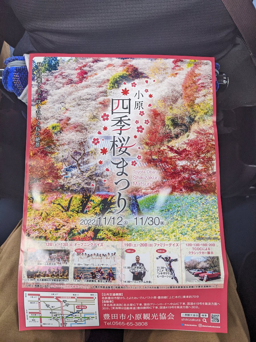 kawahiro2012's tweet photo. 豊田市小原の四季桜 https://t.co/IuwIuRcuLv