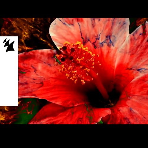 Draven_Taylor's tweet image. Music Video:
Synchro System (Feat. King Sunny Ade and His African Beats) (THEMBA's Herd Mix) by THEMBA

musiceternal.com/News/2022/Sync…

#Musiceternal #THEMBA #SynchroSystem #KingSunnyAdeandHisAfricanBeats #HerdMix #ArmadaMusic #HouseMusic #DanceMusic #SouthAfrica