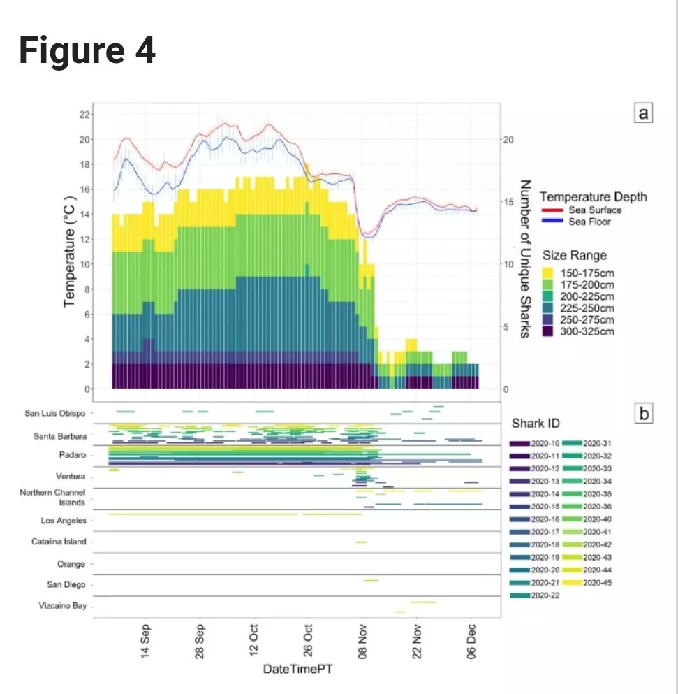 Emily_Spurgeon's tweet photo. My first lead author paper was officially published! 🦈 It focuses on quantifying the timing and threshold of thermal migratory cues in juvenile white sharks! 😁
https://t.co/8LI4MXZLEf https://t.co/ekJaEDxSMp