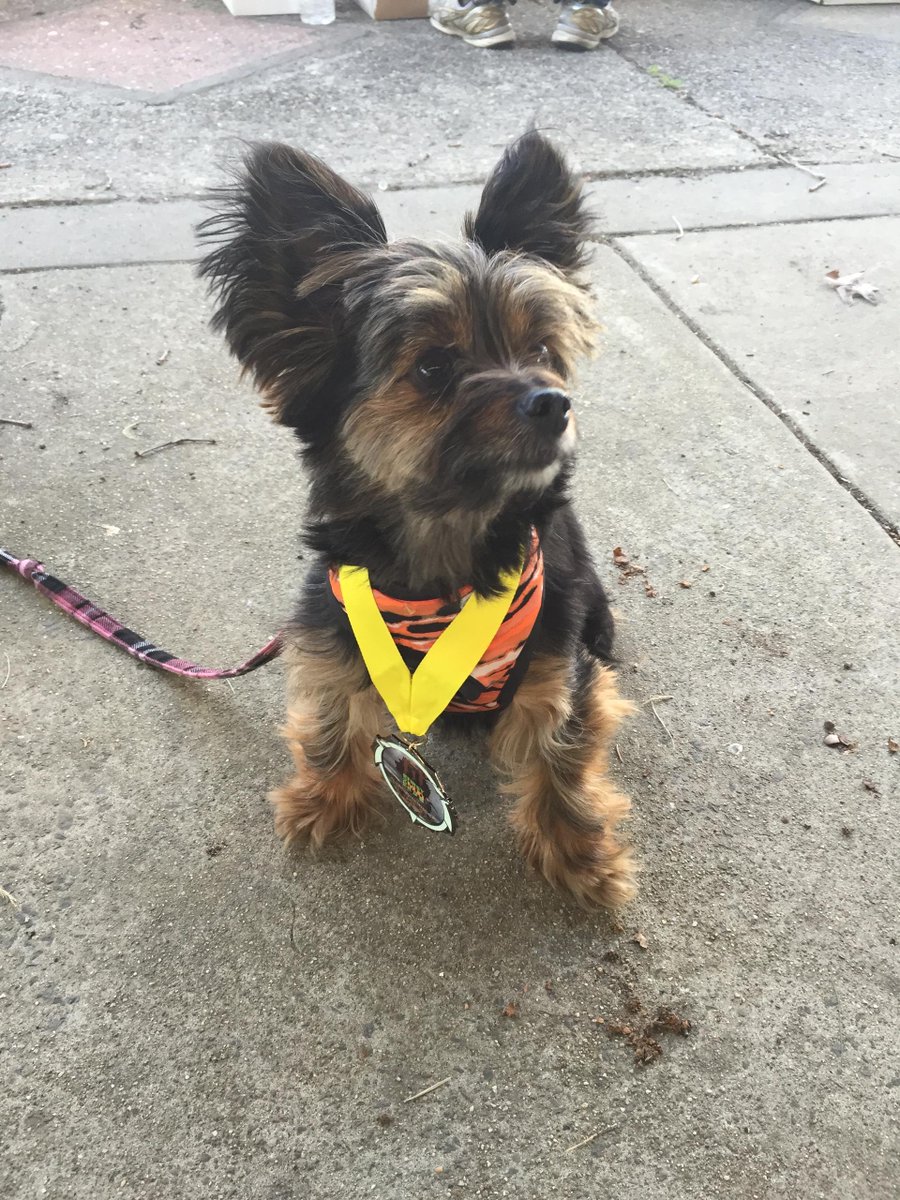 YourFirstMudRun's tweet image. Your First Mud Run coming to Naples FL bit.ly/3VfrO3g