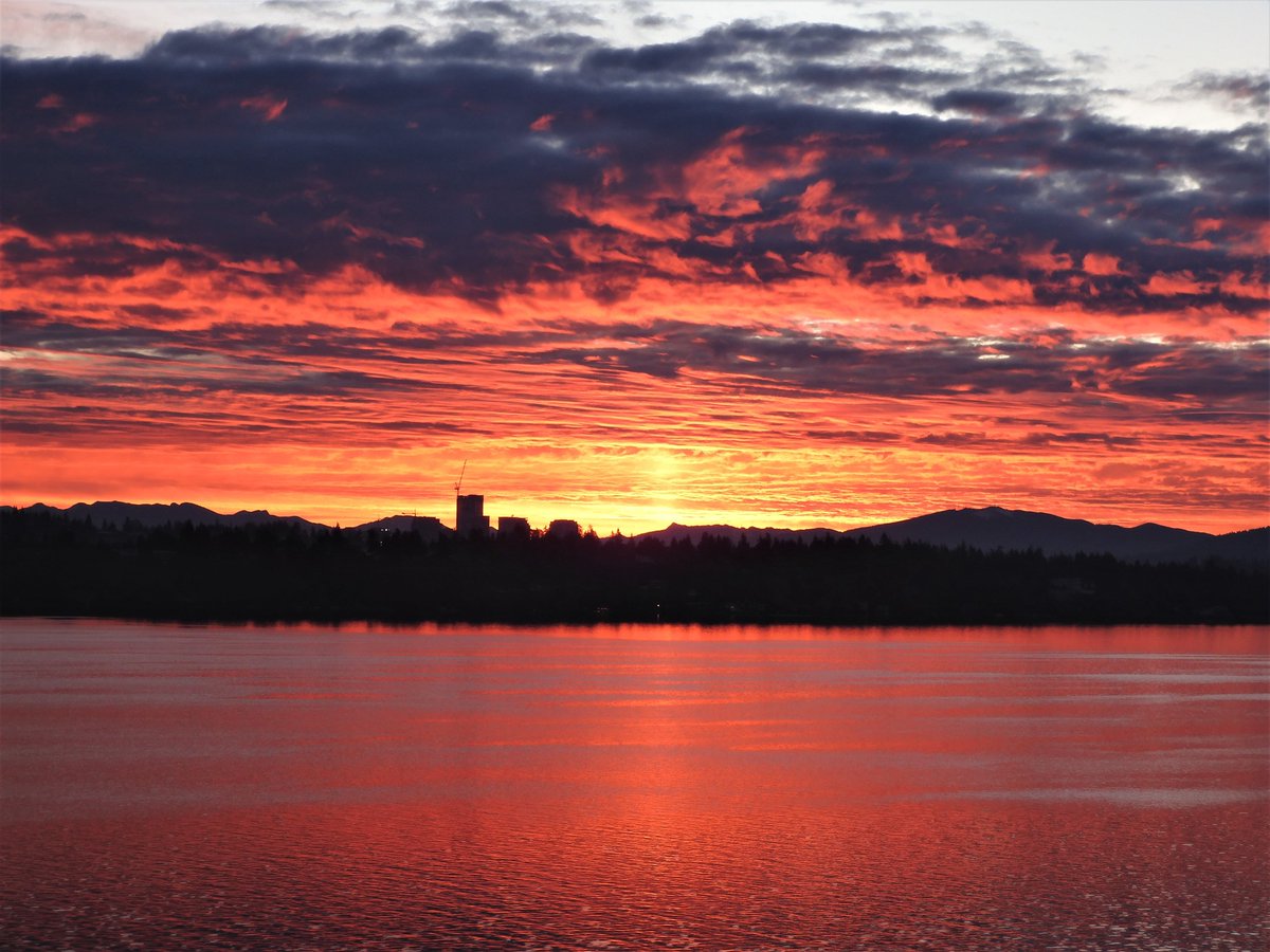 NWS Seattle tweet media