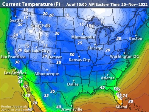what_da_florida's tweet photo. #florida #wtfflorida #wtf #floridaman https://t.co/FY4h1IDYmp