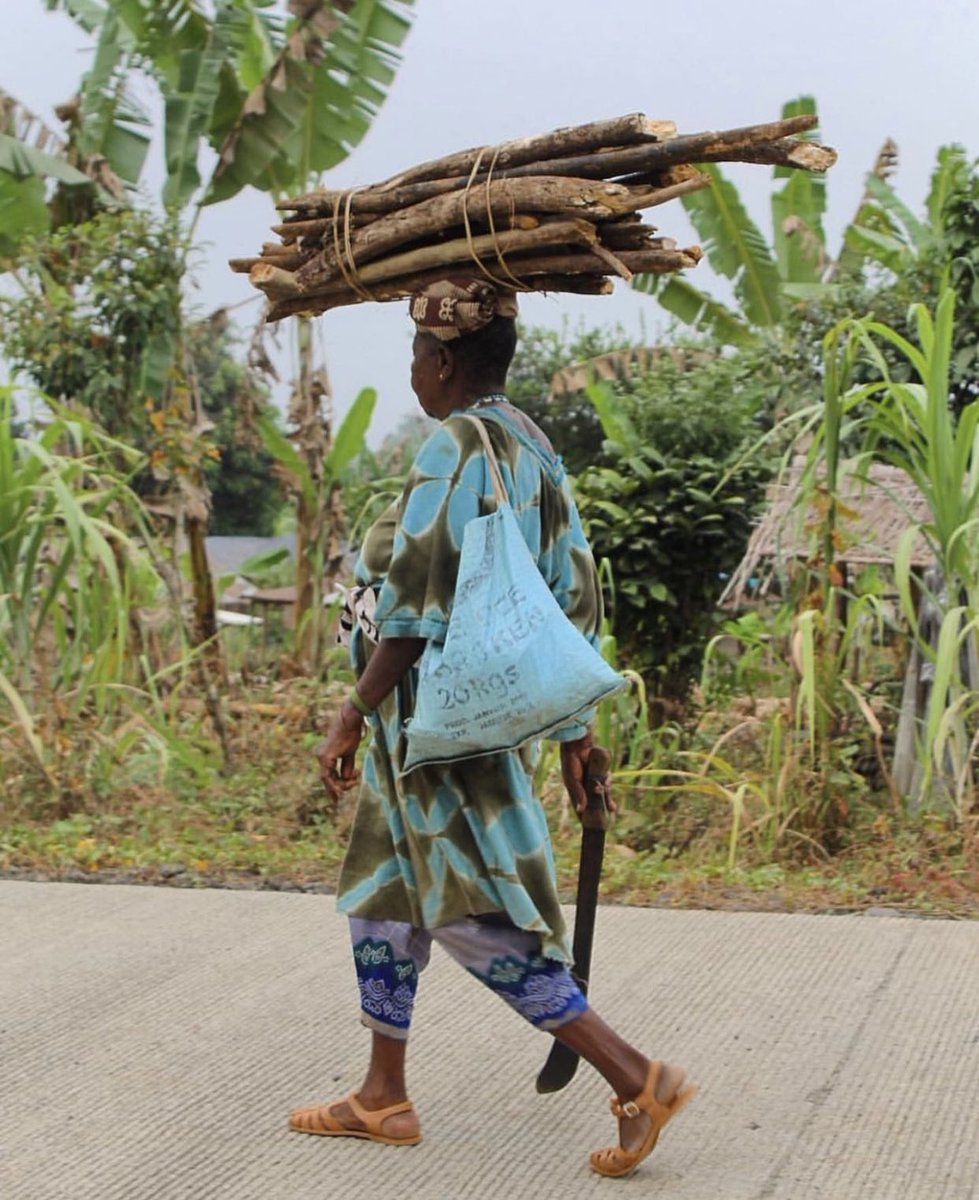 bubi_ge's tweet photo. 3/3
ninguna de las dos sujeta la carga que lleva en la cabeza, produciéndose así un equilibrio que solo se adquiere con la edad y la templanza.
📸@chelsearbann
#culturabubi #isladebioko #bioko #bubi #ureka #mujer #naturaleza #africa #leña https://t.co/Ptn5qyus5g
