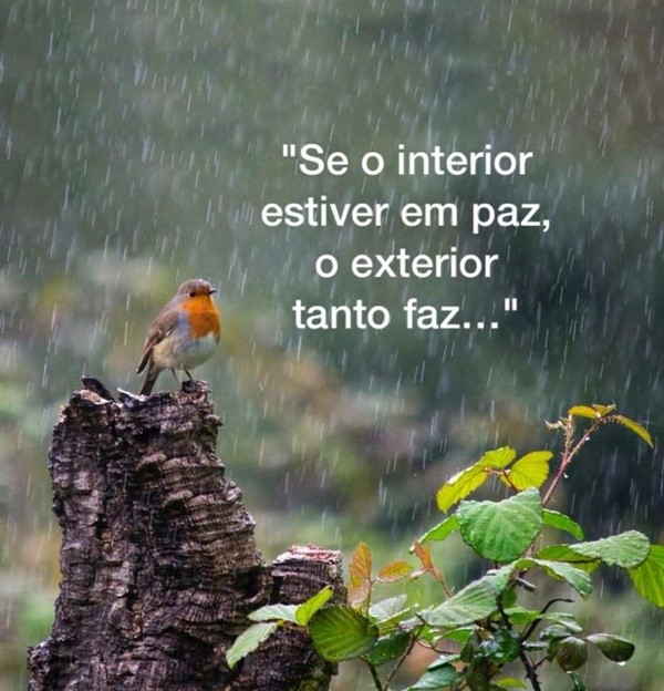 Brunomktbh's tweet photo. #Domingou #mindset #pensamentodasemana https://t.co/CVu7detle4