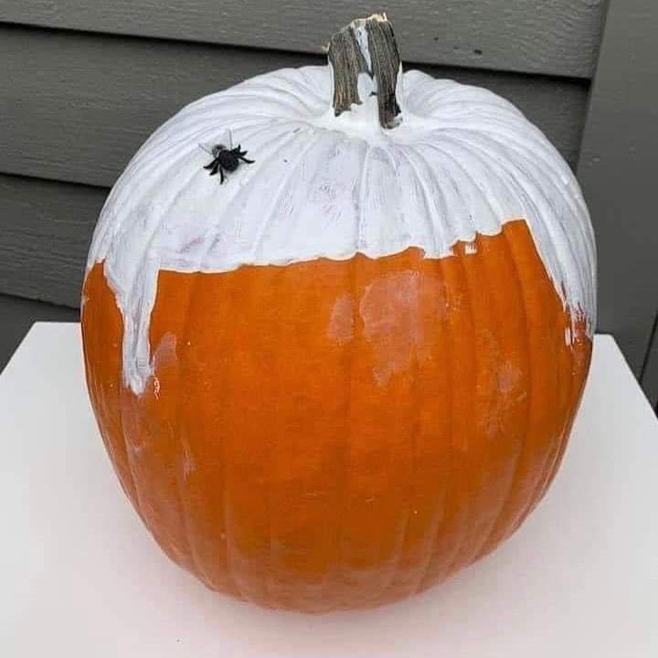 MagicMark9's tweet photo. @MeetThePress @chucktodd @Mike_Pence #PatheticPence #TrumpTrash #GOPBetrayedAmerica #GOPSeditiousTraitors #GOPClownShow #TrumptyDumpty #TrumpIsALaughingStock #IndictArrestAndConvictTrump #VoteBlue time for #PiousPence to FLY away https://t.co/XIgT6HhSFX
