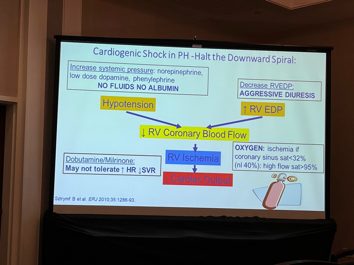 Stanley_Liu_MD's tweet photo. Cardiogenic shock in PH: hypoxemia comes 1st. Give O2 quickly but avoid PAP/intubation if possible. Diurese. Restore RV perfusion with dopamine/vasopressin. From @mardigomberg  #MACCS2022 @ACCinTouch @ACCMaryland @sxz110 @kiddiehearts @UM_Cardiology @GRamaniMD https://t.co/lMYz7H4v6L
