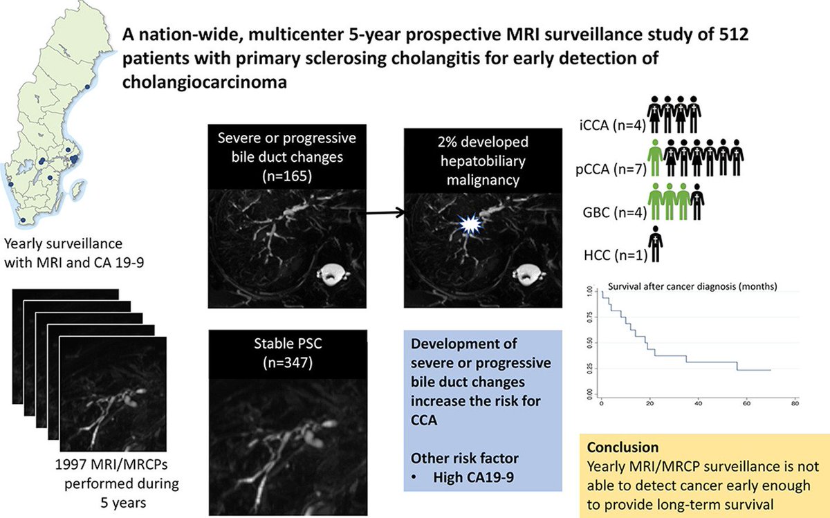 ebtapper's tweet photo. Shots fired!

MRI screening for Cholangiocarcinoma in PSC with disappointing post-detection survival. 2% developed over 5 years

An area that deserves lots of attention!  Congrats to @BergquistAnnika #livertwitter
https://t.co/1IByxTje2P https://t.co/YHLUnXSQNr