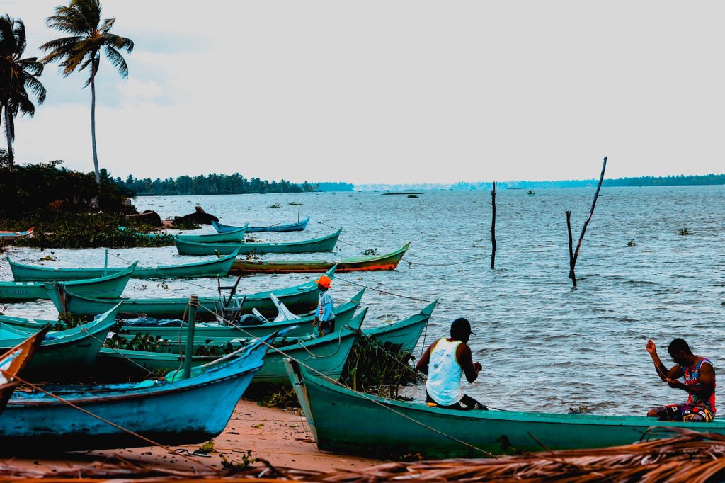 Já atualizei essa fotinha nova lá no flickr. 

#sosmataatlantica #mataatlantica #riosaofrancisco #sergipe #brejogrande #fotografia #photography