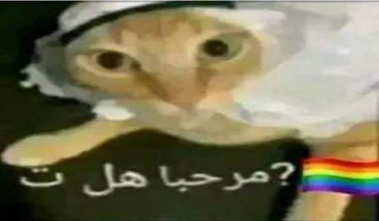 tomi01carp's tweet image. Los jugadores se abrazan para festejar el gol 

Los qataries: