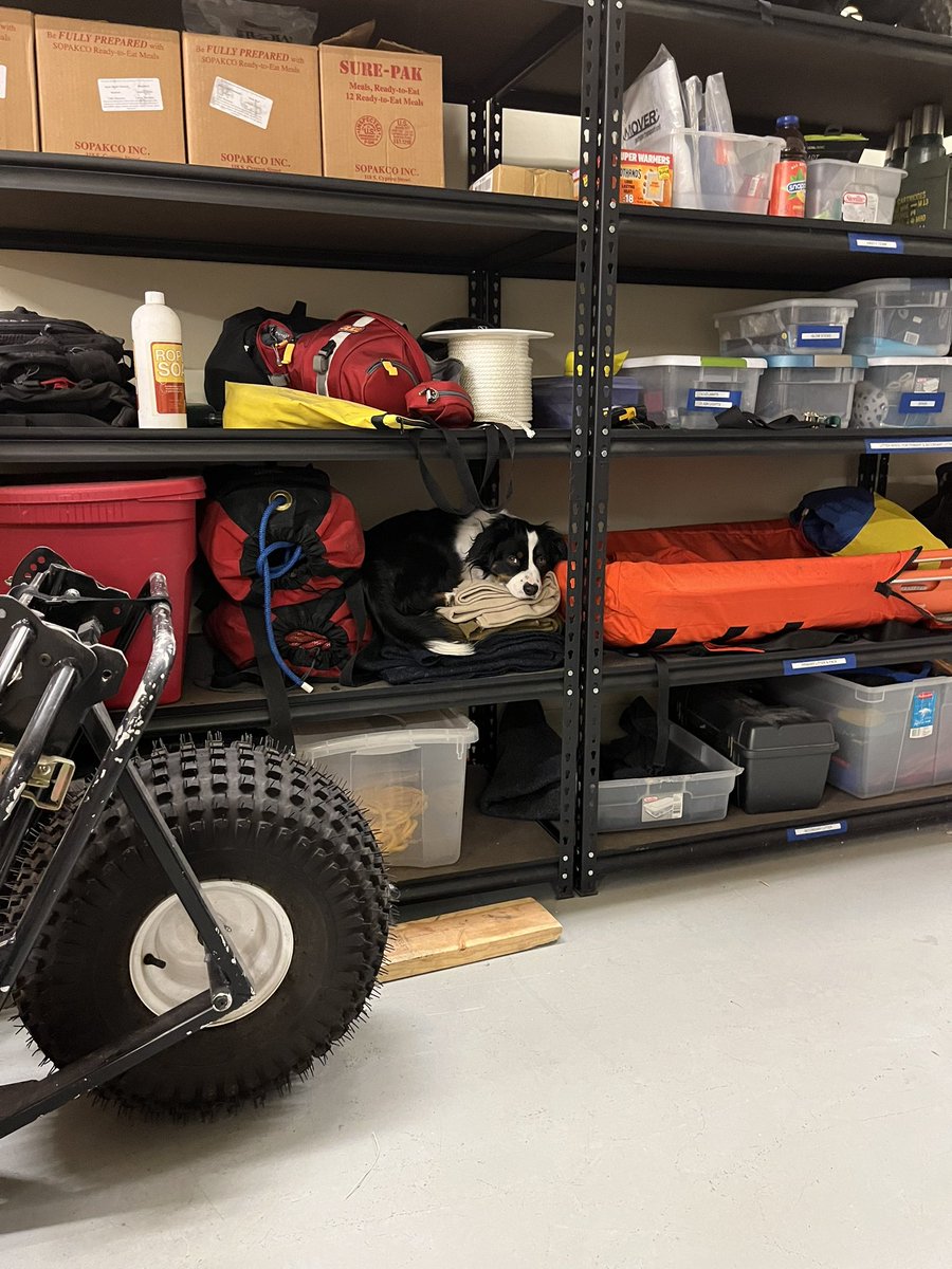Weezy is in the search and rescue gear trying tell me that’s what he wants to do. He should know better! I’d rather talk about goals of care and learn “what’s a good day look like for you?” #PalliativeCare
