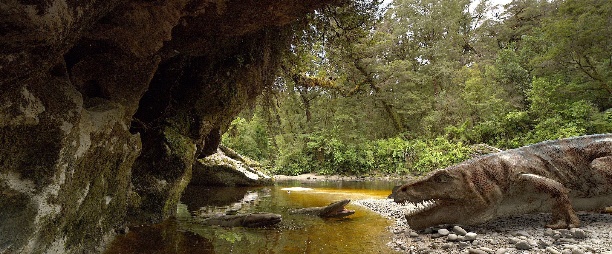 Taylor mccoy on twitter random dino doc reviews dinosaurs of