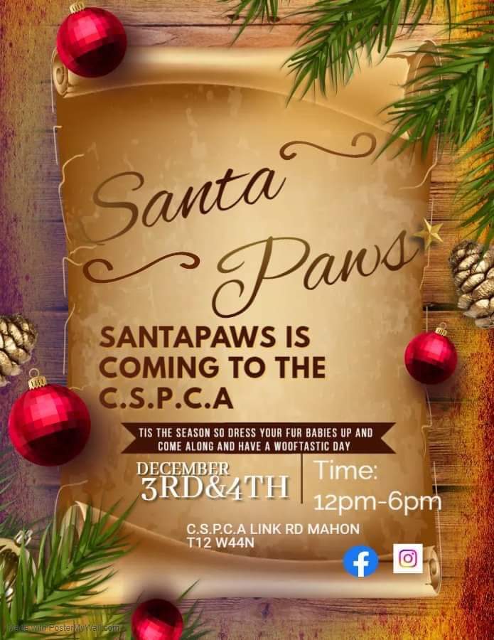 martinaMilton's tweet photo. Bring your fur babies to meet the main man! All proceeds go to the CSPCA! Stalls, refreshments and fun for all the family guaranteed. €5 for a family pic! #cspca #santypaws https://t.co/aPV0FgO3mc