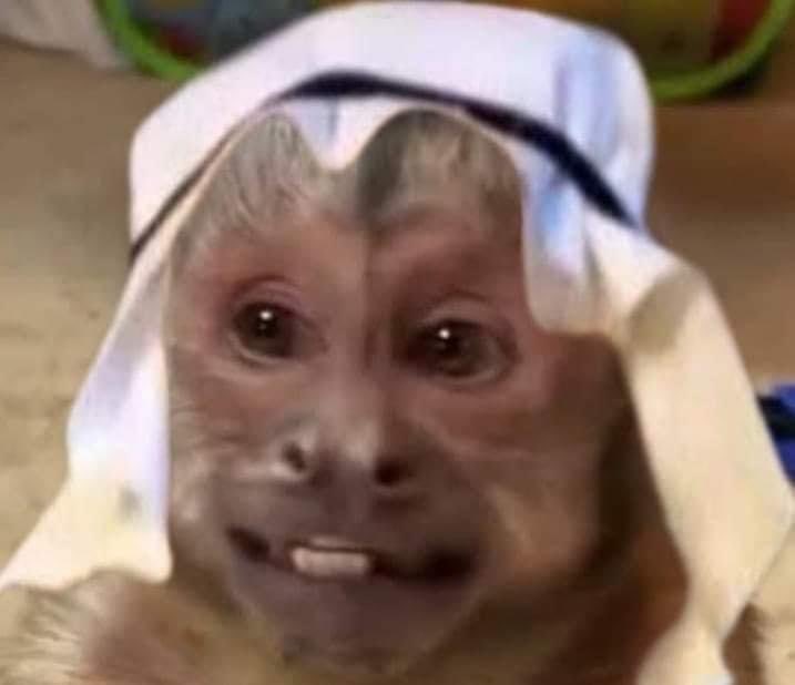 *Mi mamá buscando el mantel de la mesa*

Yo bien mundialista: