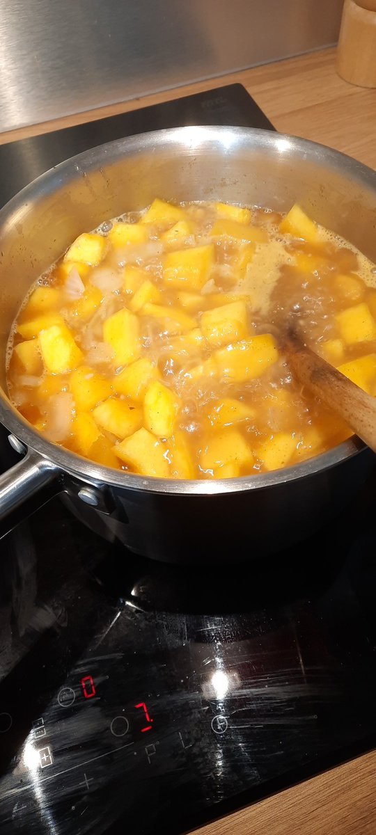 llamakevin's tweet photo. Spicy pumpkin 🎃 soup on the go! Work lunches next week. https://t.co/7wXfm02t4U