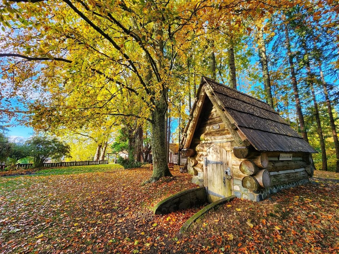 experience_CV's tweet photo. A delightful fall day at @FilbergLodge.🍂

📸 daddio630820, Instagram
⁠#ExperienceComoxValley #ExperienceVancouverIsland https://t.co/LQf2PViDwH
