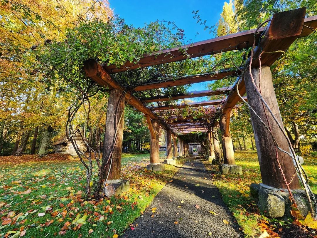 experience_CV's tweet photo. A delightful fall day at @FilbergLodge.🍂

📸 daddio630820, Instagram
⁠#ExperienceComoxValley #ExperienceVancouverIsland https://t.co/LQf2PViDwH