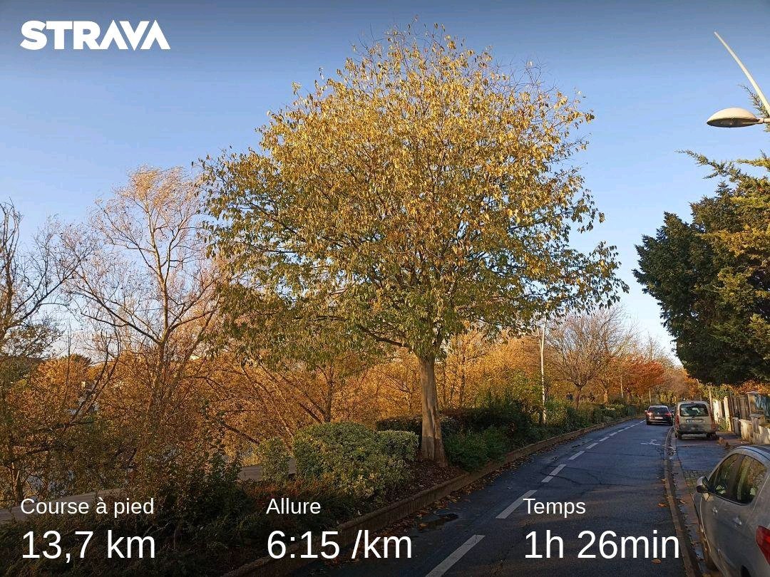 Wondergreatful's tweet photo. Versement ✅
Pobar sous la pluie 🌧️💨💯
#JustPobarIt #PobarBodyChallenge #amoulcetadir #kebetu #running https://t.co/V3TRM5s0R4