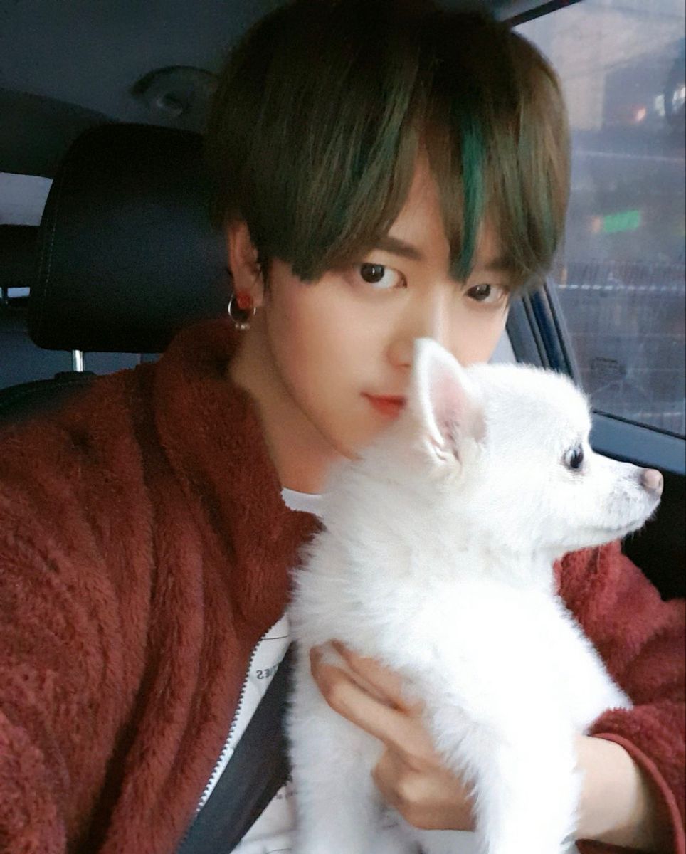 hourly_youngjo's tweet photo. #RAVN #레이븐 #Youngjo #김영조 https://t.co/dCYceA73De