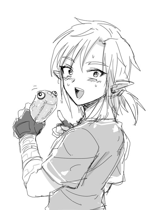 ぜ、ゼルダ様!?これですか!?新種のチュチュらしいですよ!! 