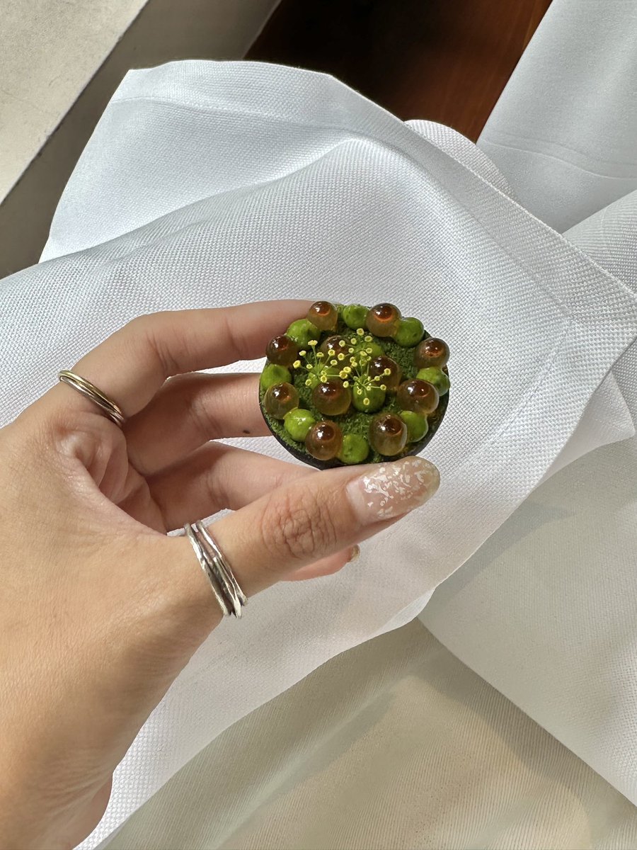 coundsheck's tweet photo. Suhring : fine dining 2 michelin ที่อยากลองมานาน ร้านอยู่ในบ้านสวย ที่มีกระจกบานใหญ่ๆ และต้นไม้ล้อมรอบ ไม่เกร็ง เราว่าที่นี่ทุกจานกินง่าย อร่อย และ visual สวยมาก ลงดีเทลให้ทุกอย่างในจาน selection ของไวน์ที่นี่ก็ดีมากเช่นกัน เหมาะกับมา anni หรือมากินกับเพื่อนก็สนุกไปอีกแบบ 🥂🌞🤍 https://t.co/RFRPtBOzQV