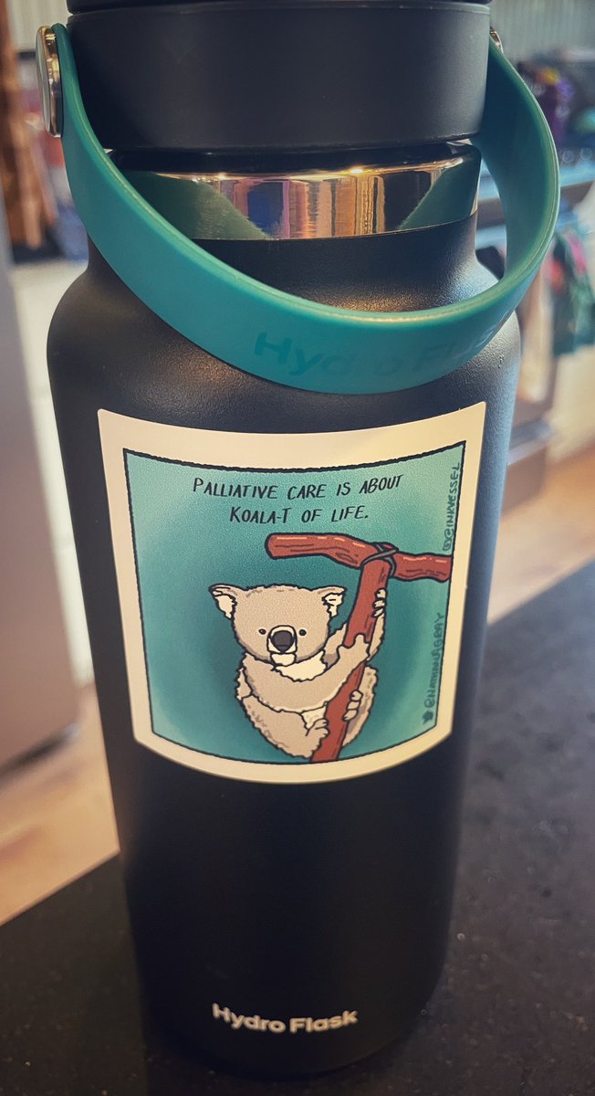 AnnaLaVigneMD's tweet photo. Thank you for the perfect addition to my water bottle @NathanAGray ! Fortunate to be able to partner in patient care with you and the rest of the Pall Med team @HopkinsMedicine @hopkinskimmel #PallOnc #PallRT #ArtInMedicine 🎨 🩺 https://t.co/GAhNLzTQ02