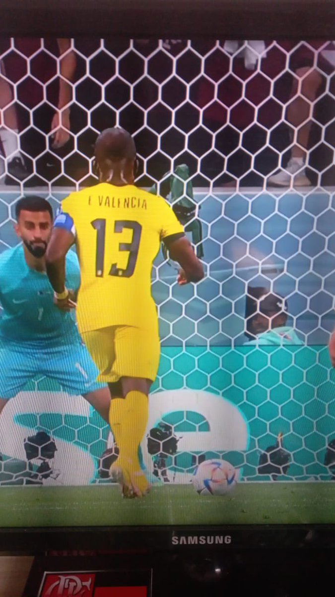GugaNoblat's tweet photo. Bolsonaro recluso vendo o primeiro jogo da Copa tentando esquecer o PT, aí vem o gol do Ecuador. https://t.co/6nUOxVYqq5