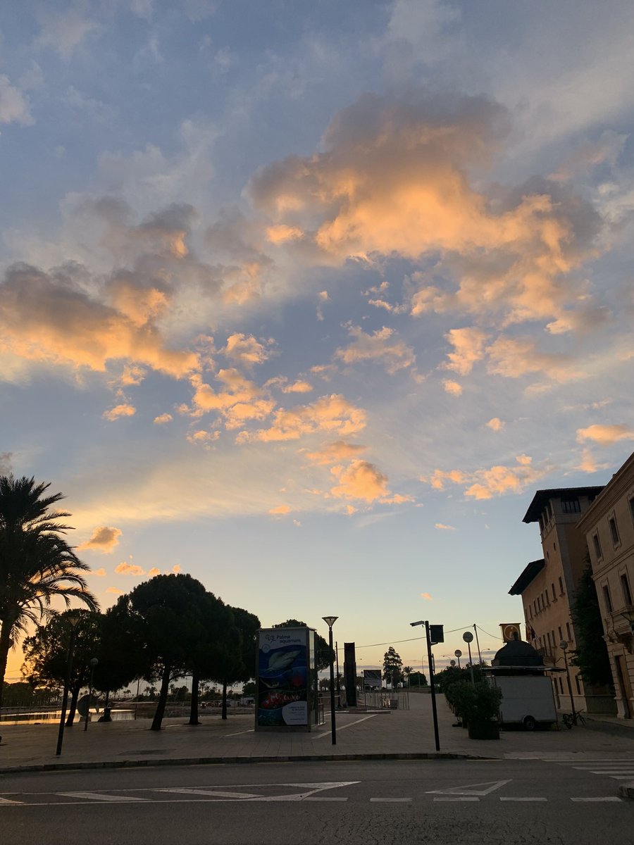 VisualRuckus's tweet image. Palma looking sweet 🤙🏻 #PalmaDeMallorca