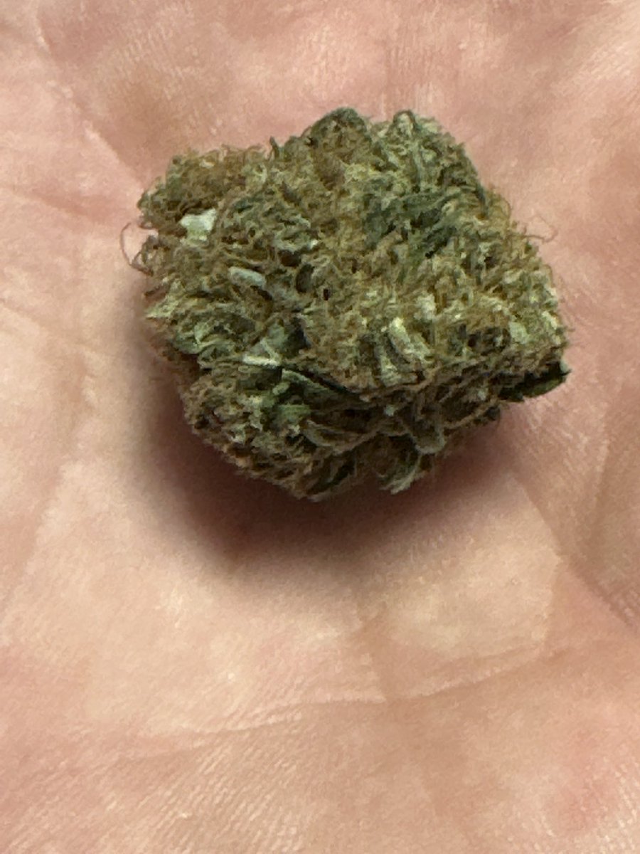 Wearewewill's tweet photo. 30 entries in the #518cannabiscup 
Who gonna win 
Pic is of NYC #Piff for attention 
#haze #NY #NewYork #cannabiscup #AmsterdamNY https://t.co/C6J2EicOZy