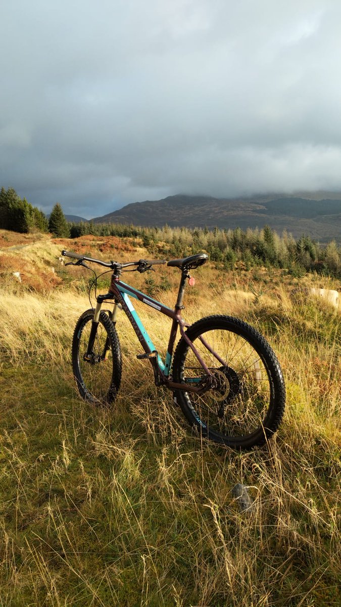 ACE_Girvan's tweet photo. Adrian was Cycling at Glentrool @ScotBiosphere today with Glendoune Youth Group! Thanks to our partners involved in this project offering activities for young people 🙂 @top_ayrshire @CLD_SAC #thrivingcommunties #youthwork #workinginpartnership #outdoor #adventures #ACEdays https://t.co/8hFuDG89dh
