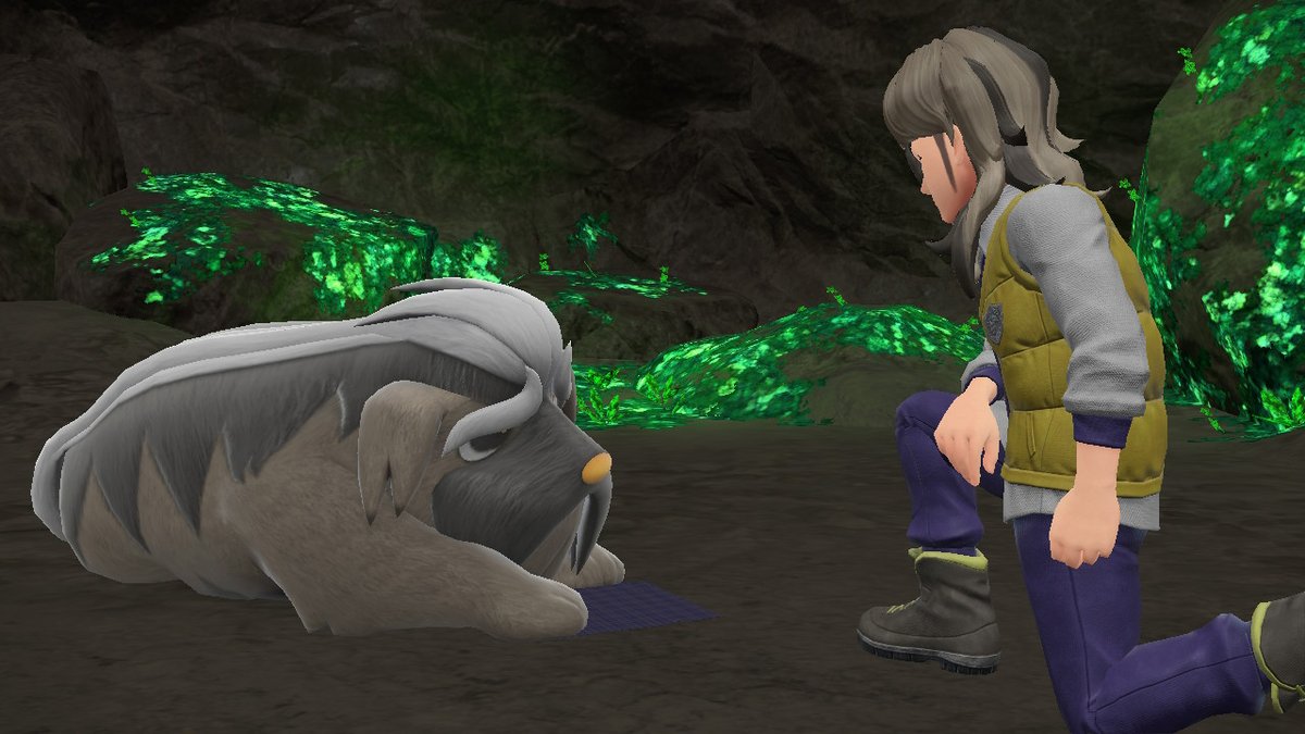 plantsdaft's tweet photo. #PokemonScarletViolet #NintendoSwitch https://t.co/oZG2T4Y3rX