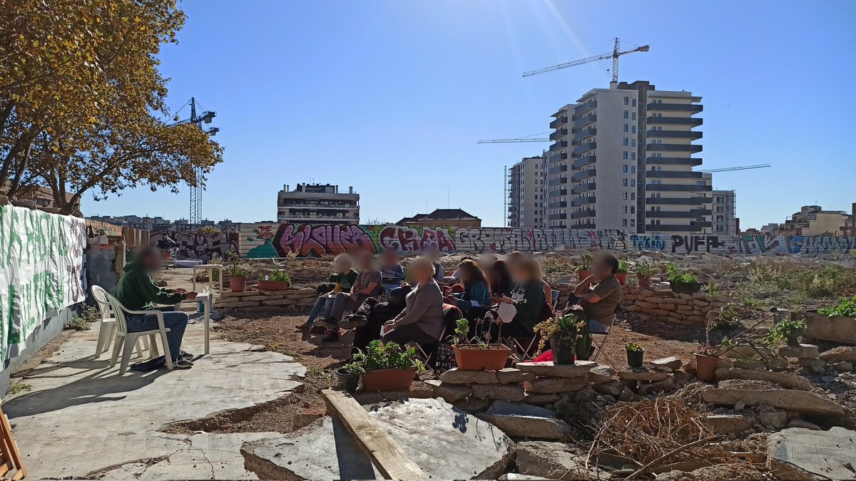 CSO Nabat 3 tweet media