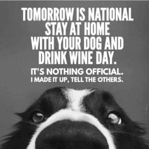 Popped up in her Facebook memories today. I think it’s a great idea especially as it’s Monday snore day tomorrow!!
