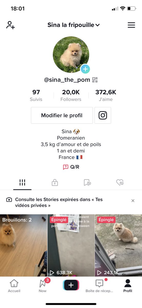 Le beauty privilège existe !
La preuve, regardez mon chien qui vient de passer le cap des 20k followers alors que j’ai écrit trois bouquins et que je reste dans l’ombre 🤣🤣🤣