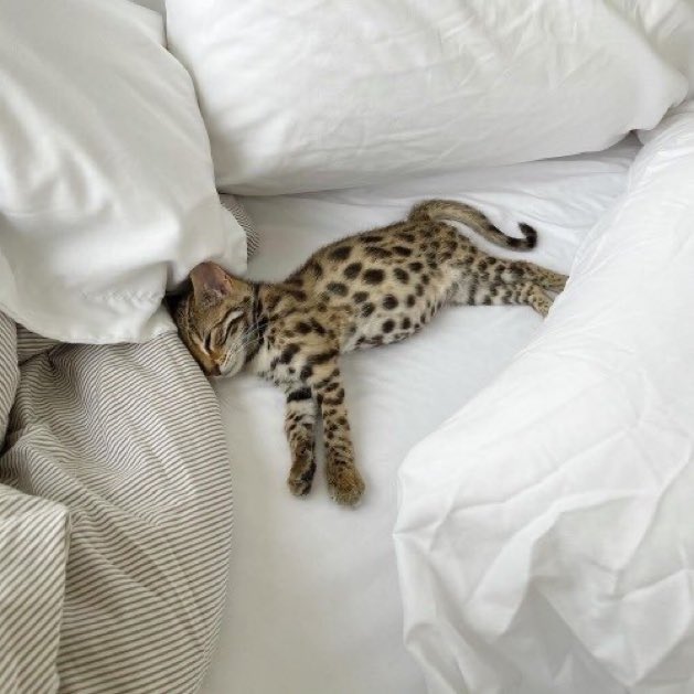 DRIP (@dript3r) on Twitter photo 