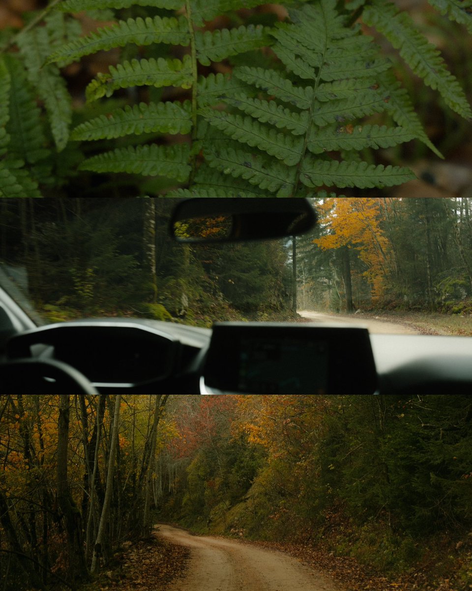 bldjordan's tweet photo. bientôt la fin de l’automne 🍂 https://t.co/xKw9S6qZB2