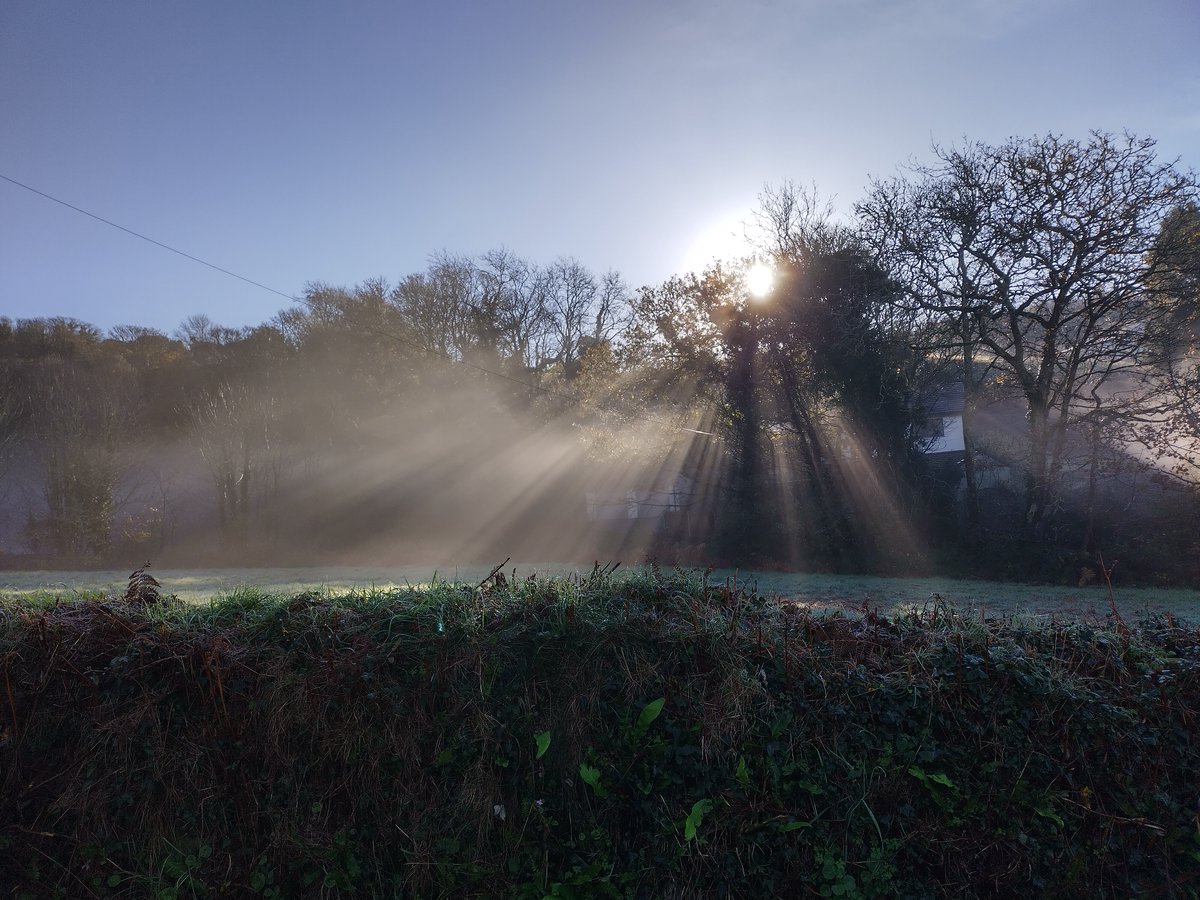 James Duffy tweet media