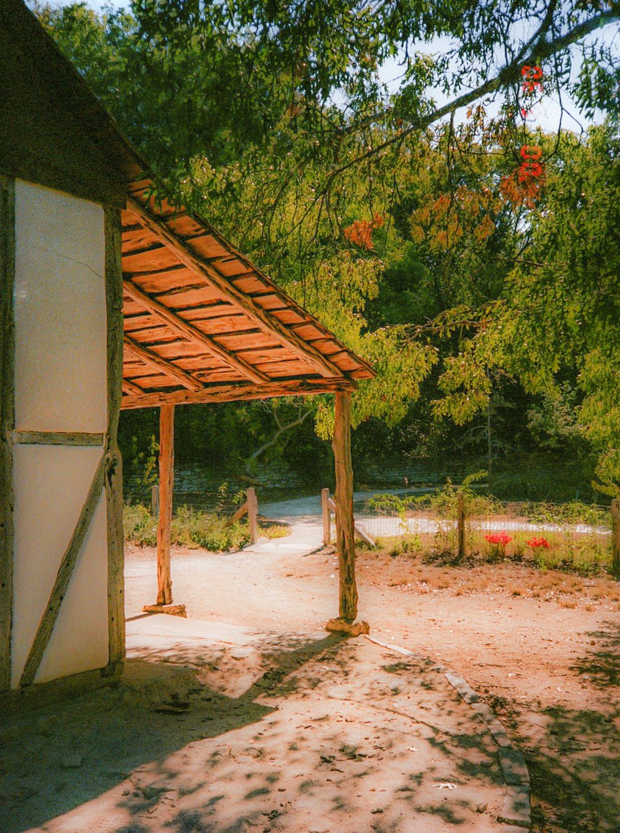 JennVisuals's tweet image. photos I took on 35mm film