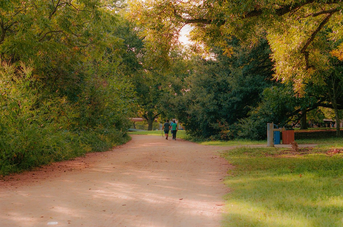 JennVisuals's tweet image. photos I took on 35mm film