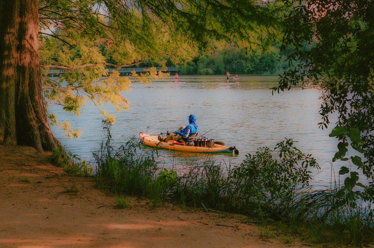 JennVisuals's tweet image. photos I took on 35mm film