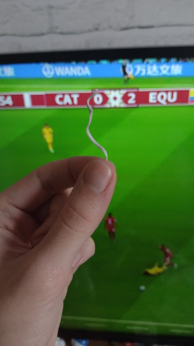 Roddd's tweet photo. Aos amigos que estão tentando ver na Globoplay pois não tem uma antena, vou sempre repetir um dos lifehacks mais absurdos que eu já conheci: sabe aqueles arames que vem com saco de pão? Se você desencapar, eles funcionam como antena. https://t.co/JNpTREseUJ
